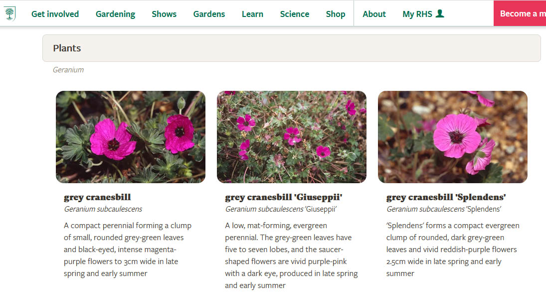 Une référence : Royal Horticultural Society